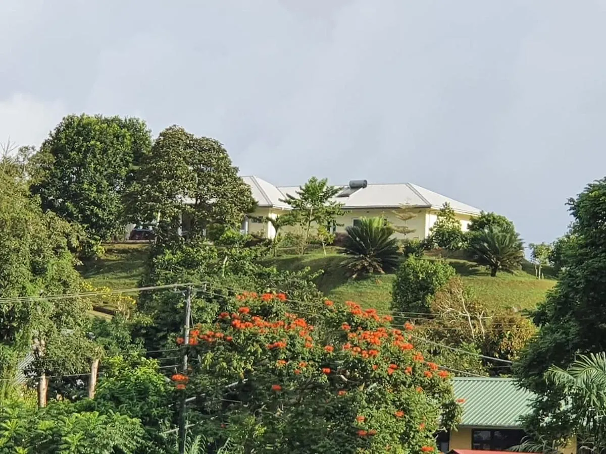 Apartamento The Olive Tree Misere Seychelles