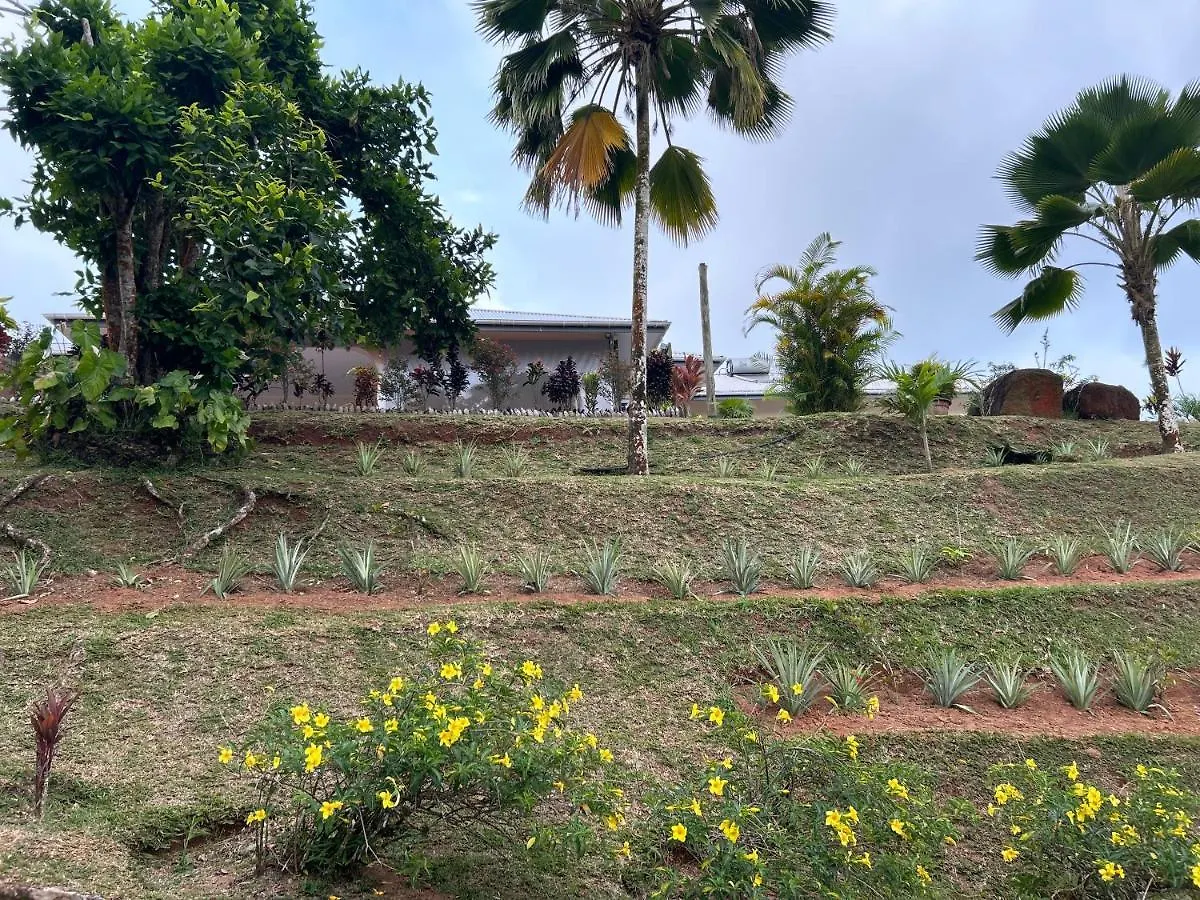 Apartamento The Olive Tree Misere Seychelles