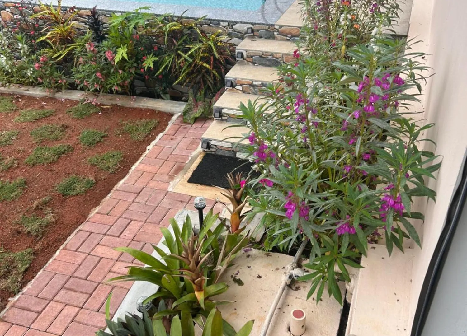 Apartamento The Olive Tree Misere