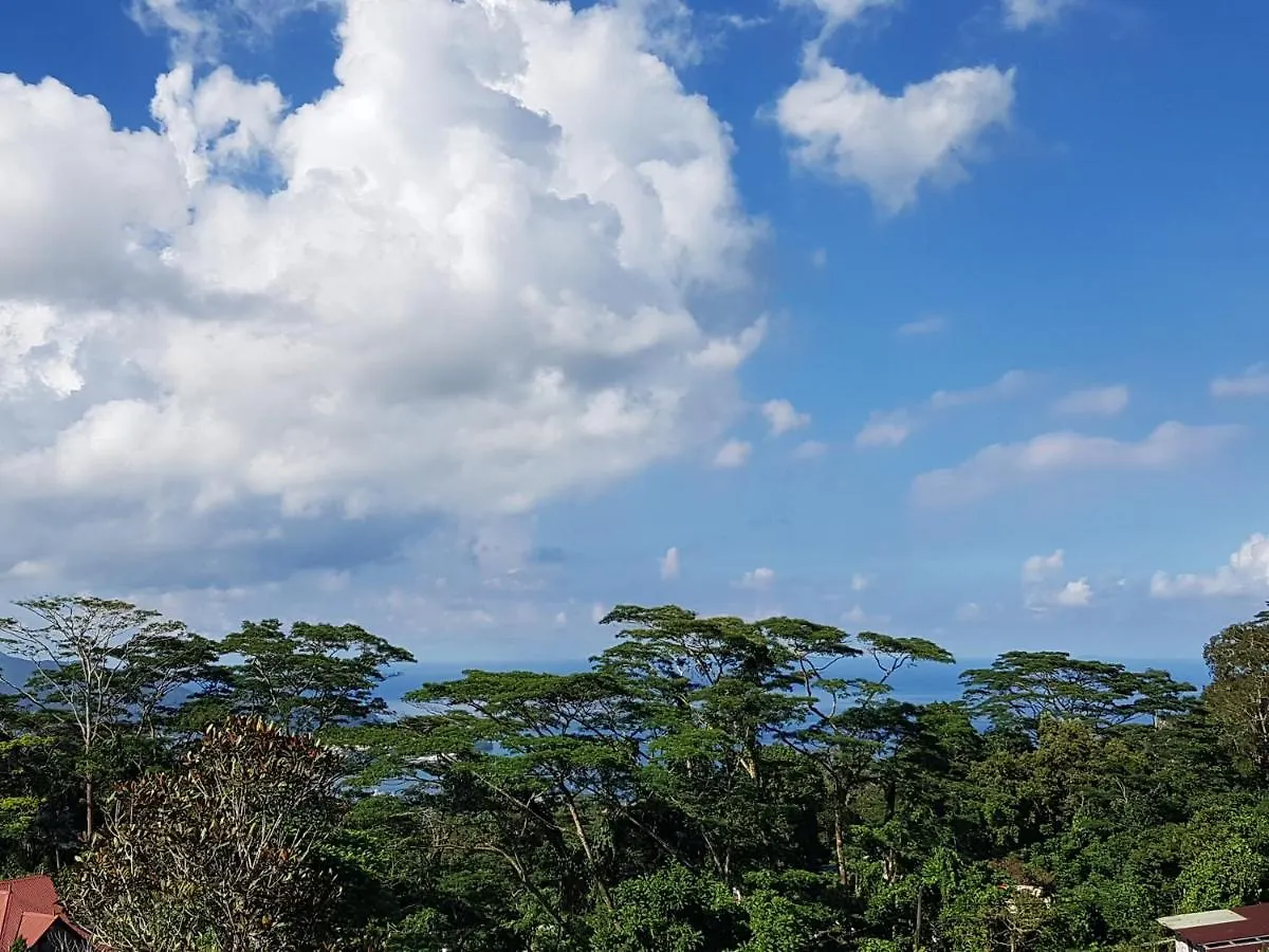 Apartamento The Olive Tree Misere Seychelles