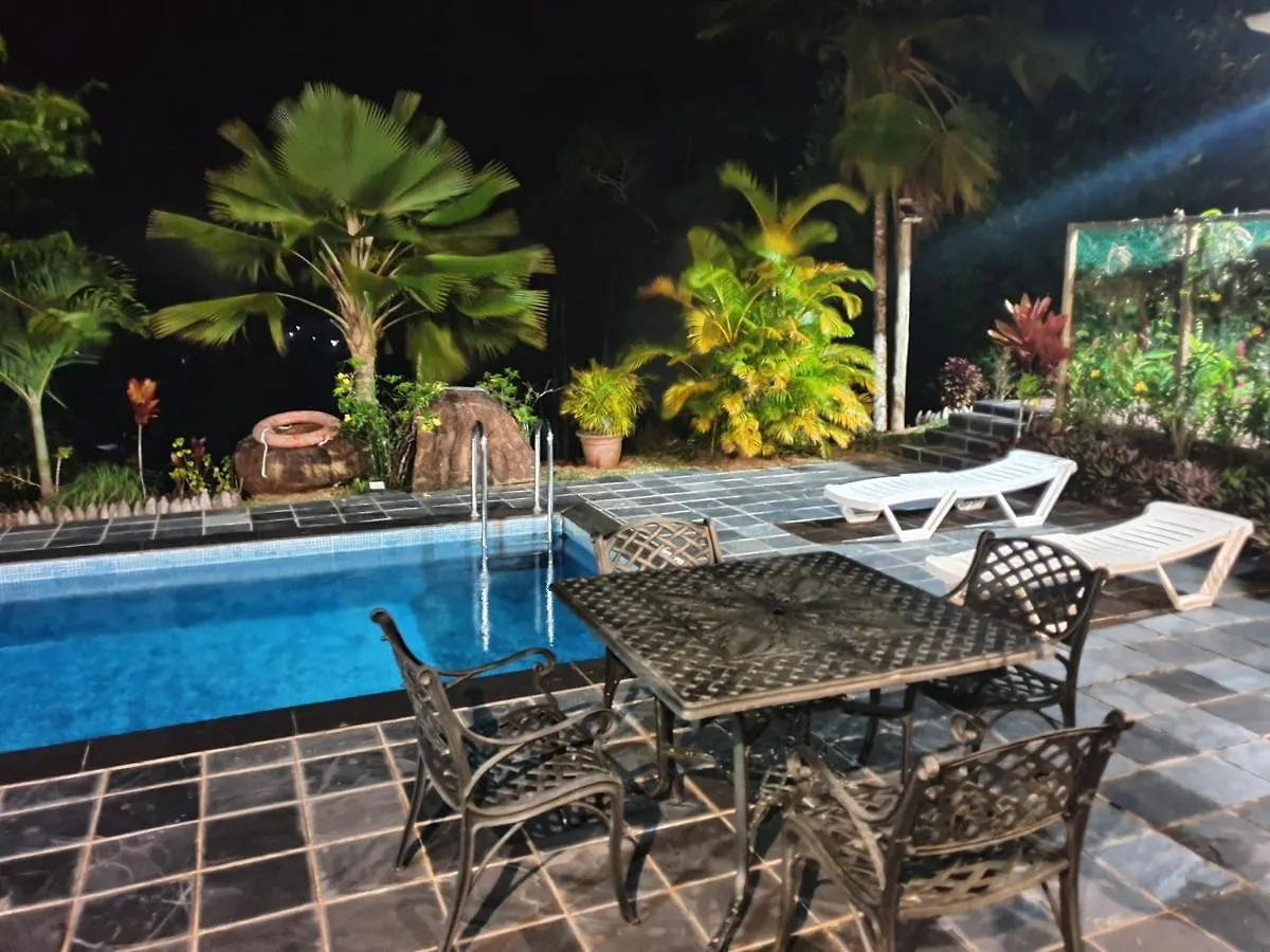 The Olive Tree Apartment Misere