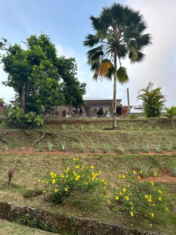 The Olive Tree Apartment Misere Seychelles