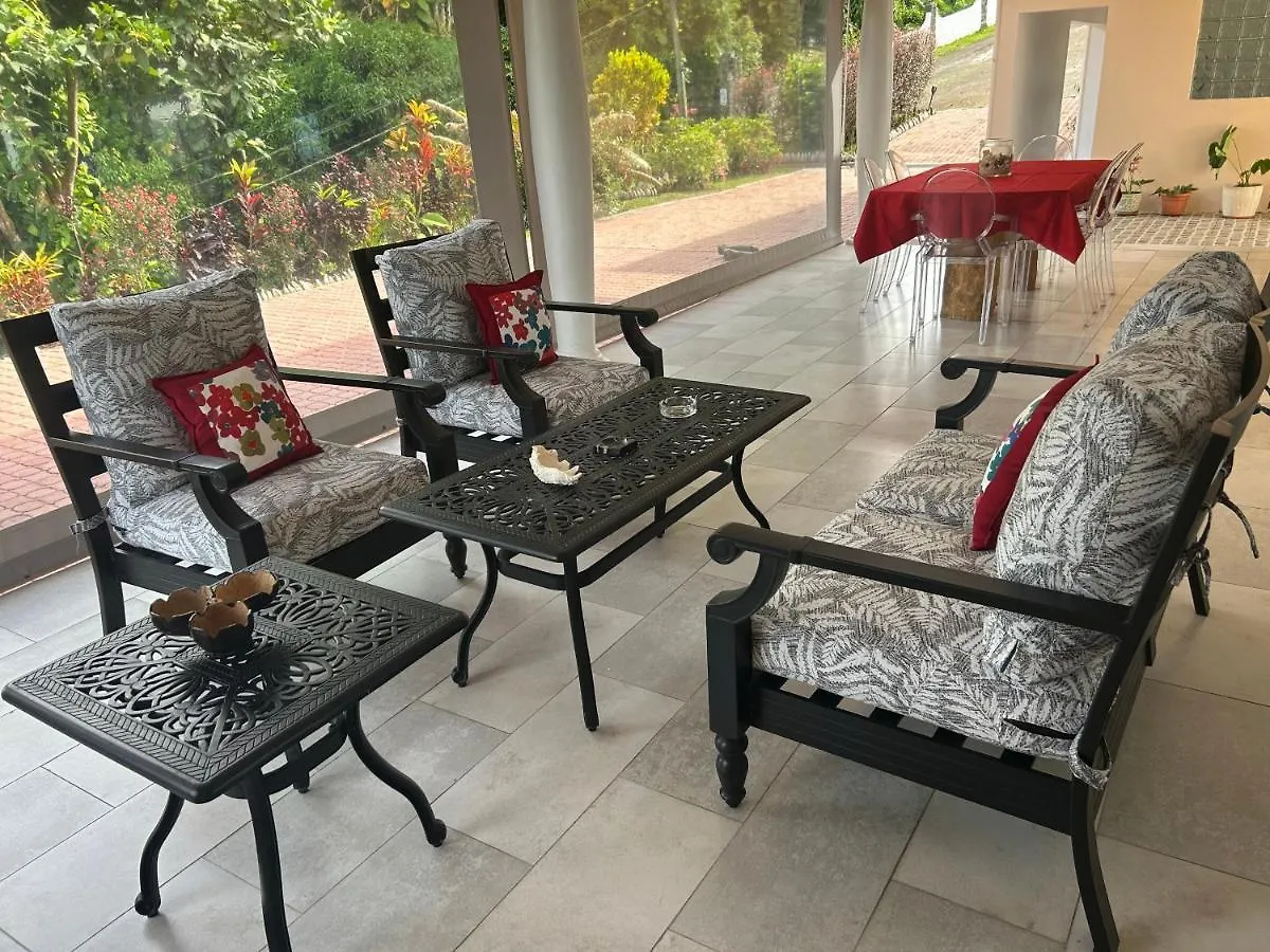 The Olive Tree Apartment Misere
