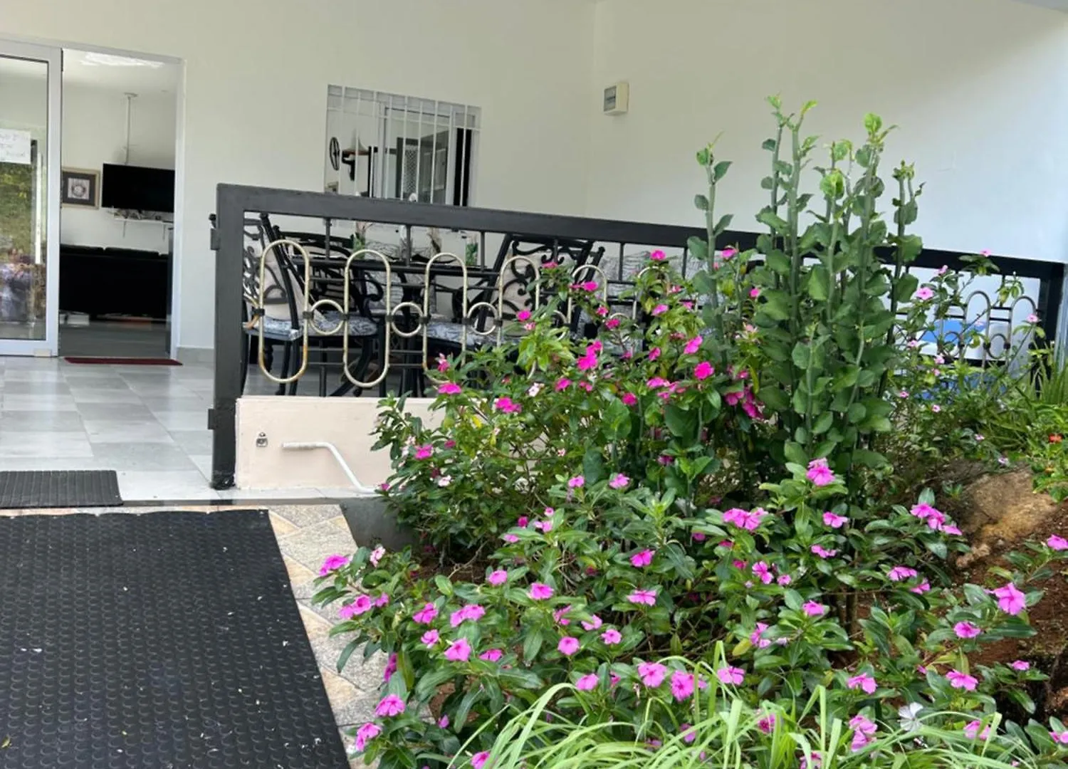 The Olive Tree Apartment Misere